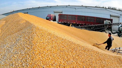 2018年农村经济形势严峻，农民增收困难，出路何在？