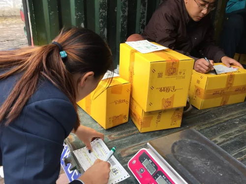 电商赋能太行百岁品牌，助力初级农产品收购新篇章