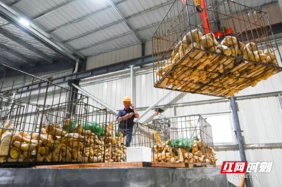 北湖供销社赋能农业 畅通初级农产品收购，助力农货“出村进城”