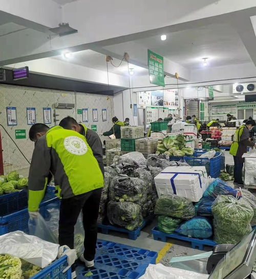 织里供销出硬招，服务保障暖人心——初级农产品收购工作见实效