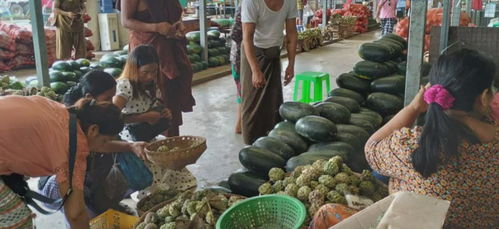 缅甸粮食安全拉响警报 基础食品价格飙升，初级农产品收购体系面临挑战