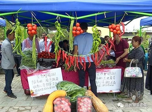 农副产品促销会 激发市场活力，助力脱贫攻坚与初级农产品收购