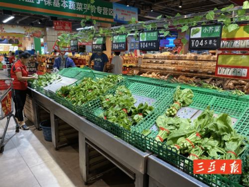三亚菜价短线波动，明天料将回稳