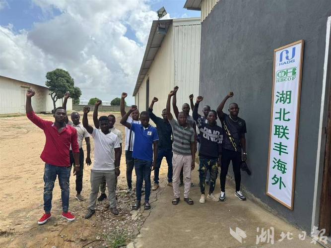 联丰海外公司在莫桑比克建设的农产品初级加工基地